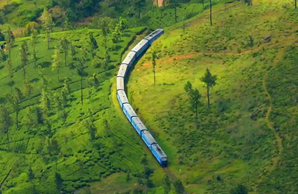 Sri Lanka Tea Garden